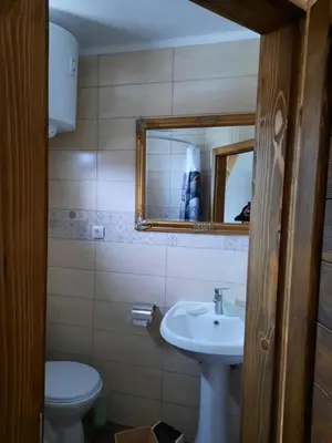 a bathroom with a sink and a toilet and a mirror at Golemi kamik Pirot Vlasi in Pirot