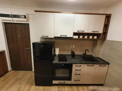 a kitchen with a black refrigerator and a sink at Iznad oblaka A6 in Kopaonik