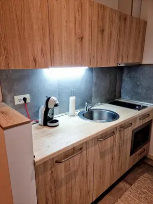 a kitchen with a sink and a penguin on a counter at Apartman Zupa 112 in Kopaonik