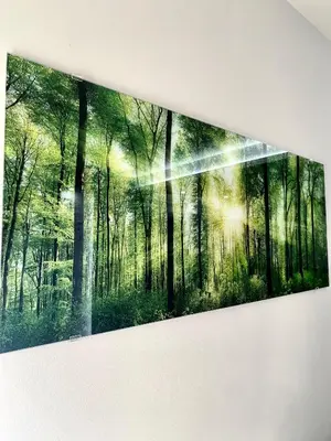 a painting of a forest with the sun shining through the trees at STUDIO Vladana in Kruševac