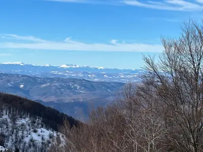 a view of a snowy mountain with trees and mountains at Apartments Dora in Kopaonik