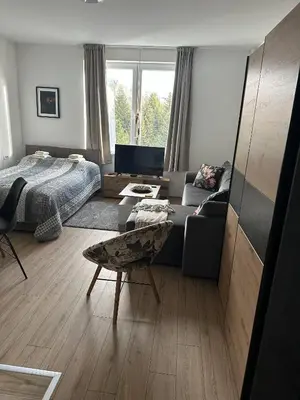 a living room with a bed and a couch at Apartments Dora in Kopaonik