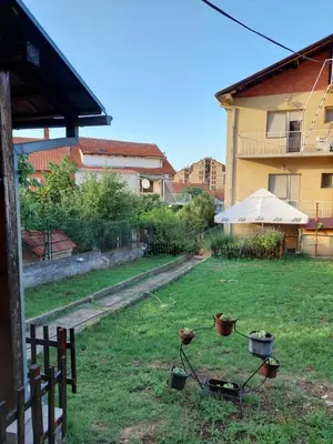 a yard with three potted plants in the grass at Hills Apartment in Niš