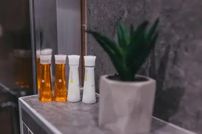 a group of beer bottles and a potted plant on a counter at City Centar House in Niš