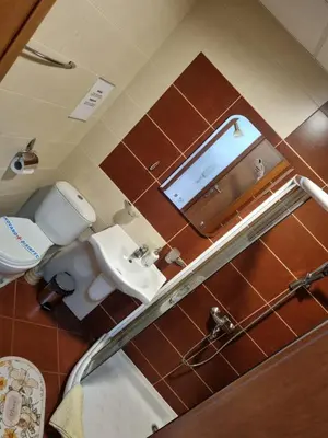 a small bathroom with a toilet and a sink at Studio apartman Zvezdana Noć in Vrnjačka Banja