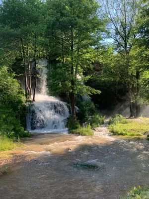 a waterfall in the middle of a forest with trees at STD Kuća Talija in Kalna