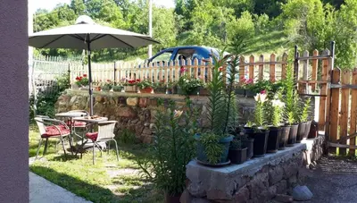 a garden with potted plants and a table and an umbrella at STD Kuća Talija in Kalna