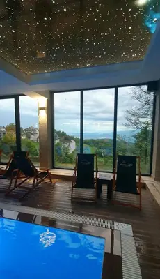 a living room with two chairs and a swimming pool at HUSKY Milmari in Kopaonik