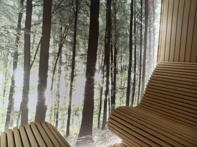a room with a window looking out into a forest at HUSKY Milmari in Kopaonik