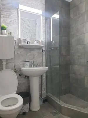 a bathroom with a toilet and a sink and a shower at Despot Apartmani Niš in Niš