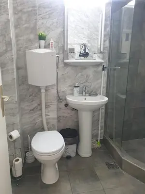 a bathroom with a toilet and a sink and a shower at Despot Apartmani Niš in Niš