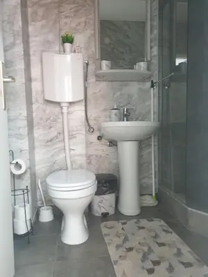 a bathroom with a toilet and a sink at Despot Apartmani Niš in Niš