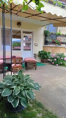 a patio with a table and a potted plant at Apartman ''Nena,, in Soko Banja