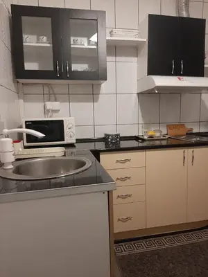 a kitchen with a sink and a microwave at Apartman Centar 2 in Kruševac
