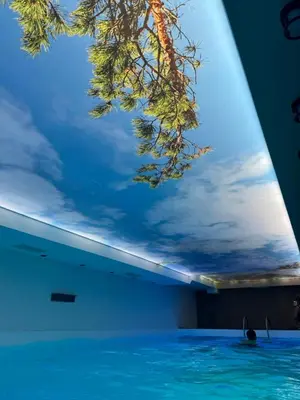 a ceiling with a painting of a tree in a swimming pool at SWAN Kopaonik in Kopaonik