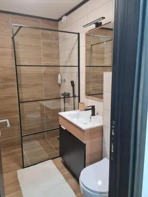 a bathroom with a toilet and a sink and a shower at SWAN Kopaonik in Kopaonik