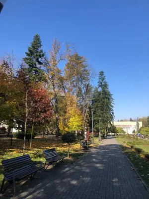 a park with benches and trees on a path at Apartman kod Vrapca in Vrnjačka Banja