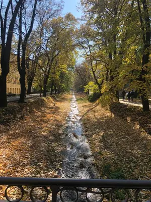 a road in the park with leaves on the ground at Apartman kod Vrapca in Vrnjačka Banja