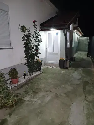 a garage with a white door and a plant at Apartman “Sanja” in Pirot