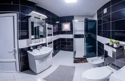 a black and white bathroom with a toilet and a sink at Apartmani Đorđević in Soko Banja