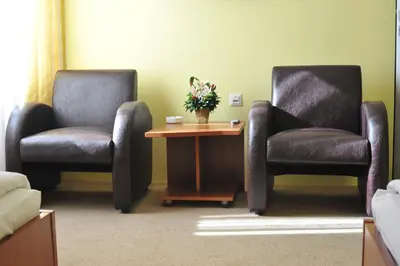 a waiting room with two chairs and a table with flowers at Medijana Apartments Niš in Niš