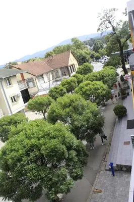 a street with trees and people walking down a sidewalk at Apartman Bonaca in Vrnjačka Banja