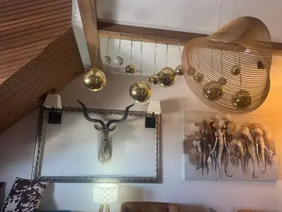 a room with a skull on the wall and a light at Аpartman 511 Zupa in Kopaonik