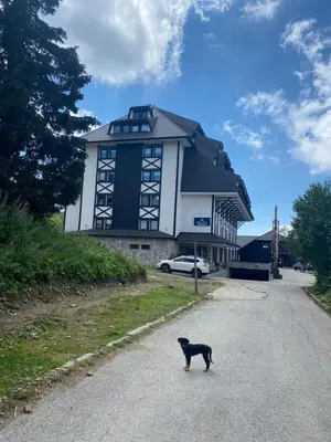 a black cat standing in the street in front of a building at Аpartman 511 Zupa in Kopaonik