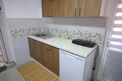 a small kitchen with a sink and a dishwasher at Apartmani Đorđević in Soko Banja