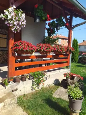 a wooden bench with flowers and potted plants on it at Apartmani Đorđević in Soko Banja