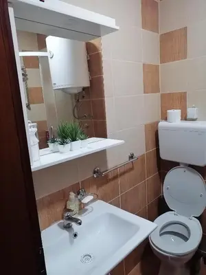 a bathroom with a toilet and a sink and a mirror at Apartman Lala in Vrnjačka Banja