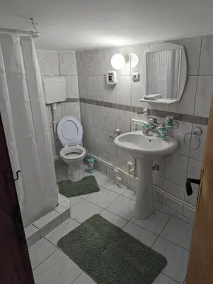 a bathroom with a sink and a toilet and a mirror at Apartmani Trio in Soko Banja