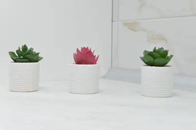 three white vases with plants in them on a shelf at Apartmani Martenovic 1 in Vrnjačka Banja