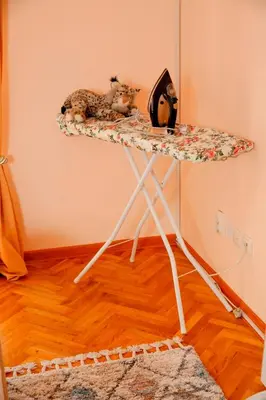 a cat sitting on a shelf in a room at Apartman Dunja in Vrnjačka Banja