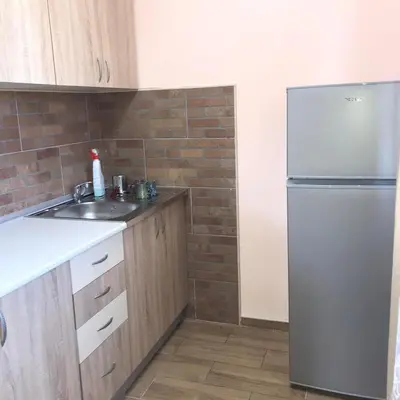 a kitchen with a refrigerator and a sink at Velin raj in Soko Banja