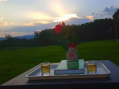 a tray with a vase of flowers and two glasses at Apartmani Petrović SEMČE Suva Planina in Gadžin Han