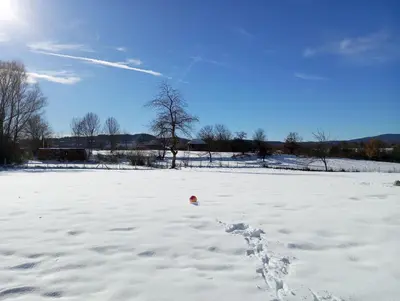 a snow covered field with a red ball in it at Apartmani Petrović SEMČE Suva Planina in Gadžin Han
