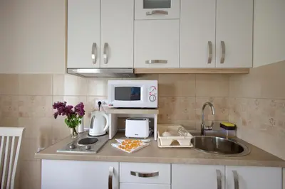 a kitchen counter with a sink and a microwave at Vila Vrnjački Raj in Vrnjačka Banja