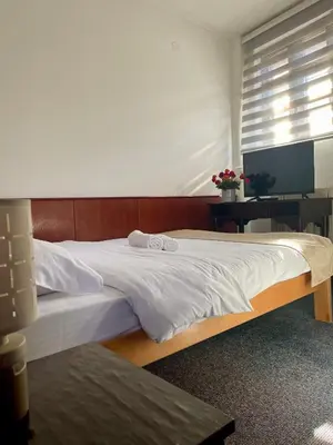 a bedroom with a large bed with a wooden headboard at Sobe na Jošanici in Jošanička Banja