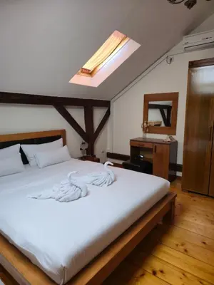 a bedroom with a large white bed with a skylight at Devedzic in Vrnjačka Banja