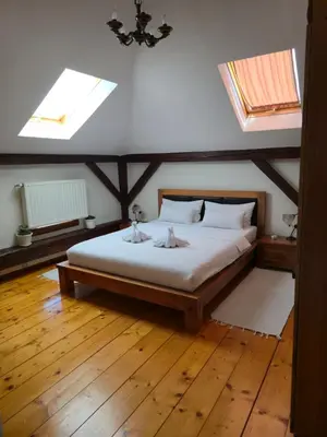 a bedroom with a bed with skylights and wooden floors at Devedzic in Vrnjačka Banja