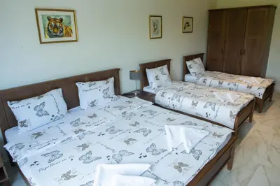 two beds sitting next to each other in a bedroom at Zoo Misic Prenoćište in Vranje