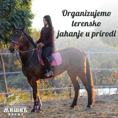 a woman is sitting on a horse at Zoo Misic Prenoćište in Vranje