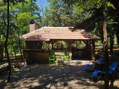 a cabin in the woods with a tiled roof at Konaciste Mali Izvor in Boljevac