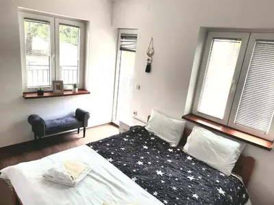 a bedroom with a bed and two windows at Apartman Vista in Soko Banja