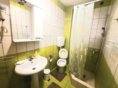 a bathroom with a sink and a toilet and a shower at Apartman Vista in Soko Banja