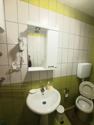 a bathroom with a sink and a toilet at Apartman Vista in Soko Banja