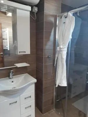 a bathroom with a glass shower and a sink at Vihor A21 in Kopaonik