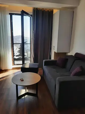 a living room with a couch and a table at Vihor A21 in Kopaonik