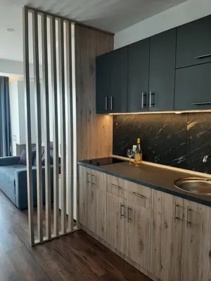 a kitchen with a sink and a counter top at Vihor A21 in Kopaonik
